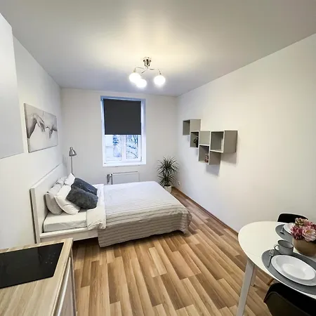 Artilerijas Iela 25 Daire Riga